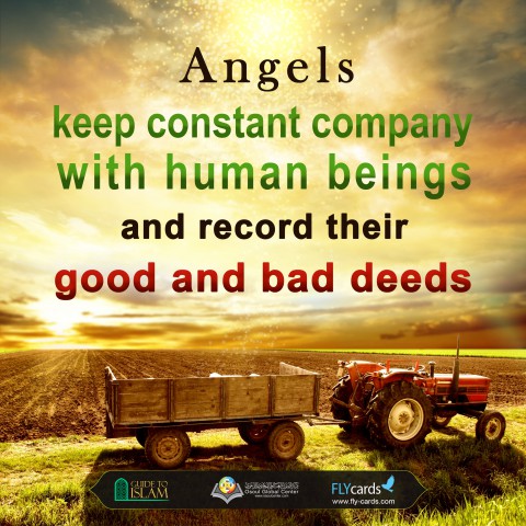 تسجيل الملائكة