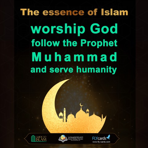 مصنع الصيغ22