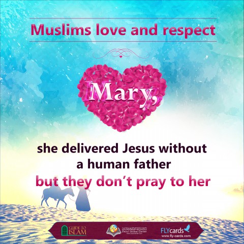 مصنع الصيغ24