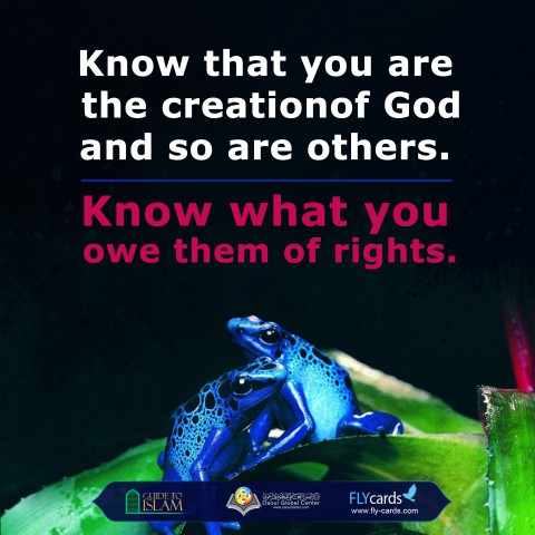 تعرف على مخلوقات الله 