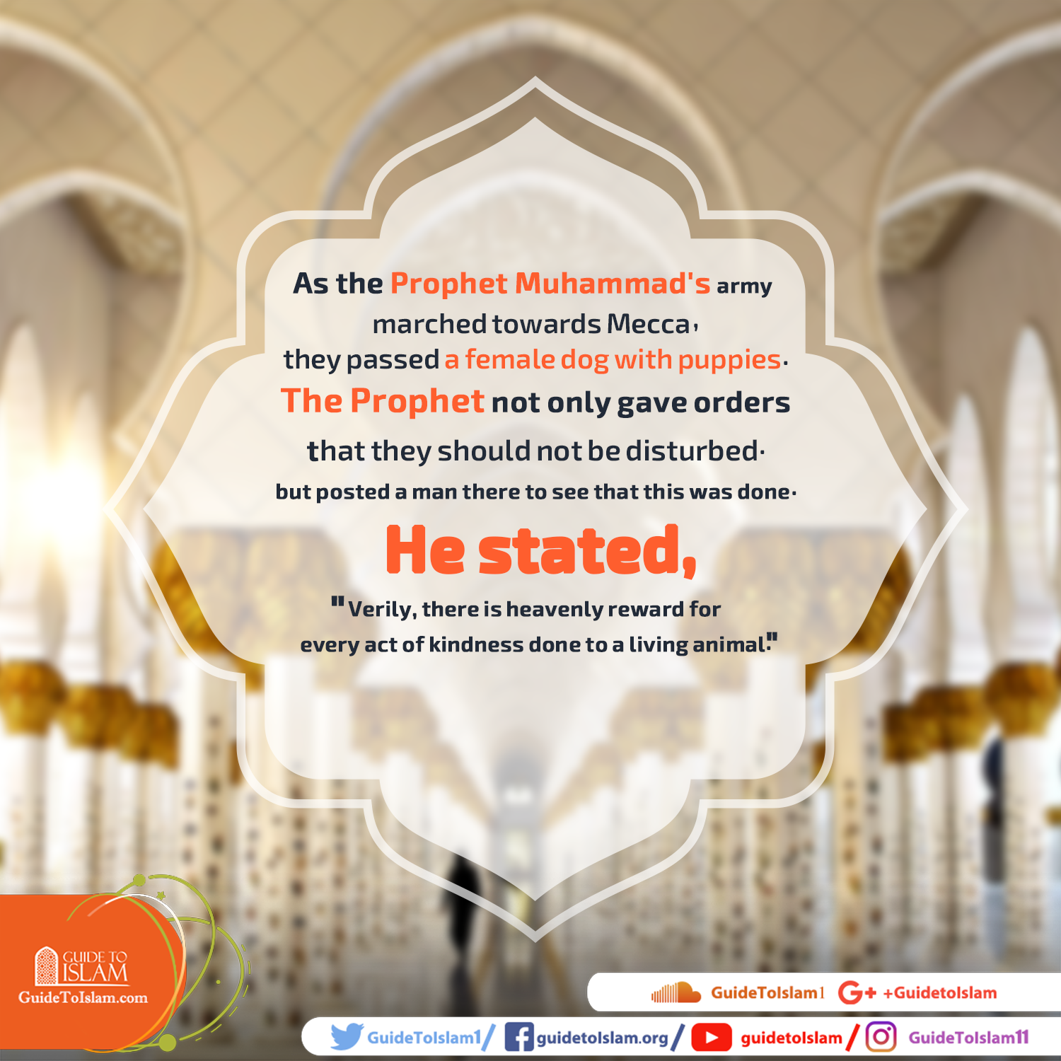 حقوق الحيوان في الإسلام 