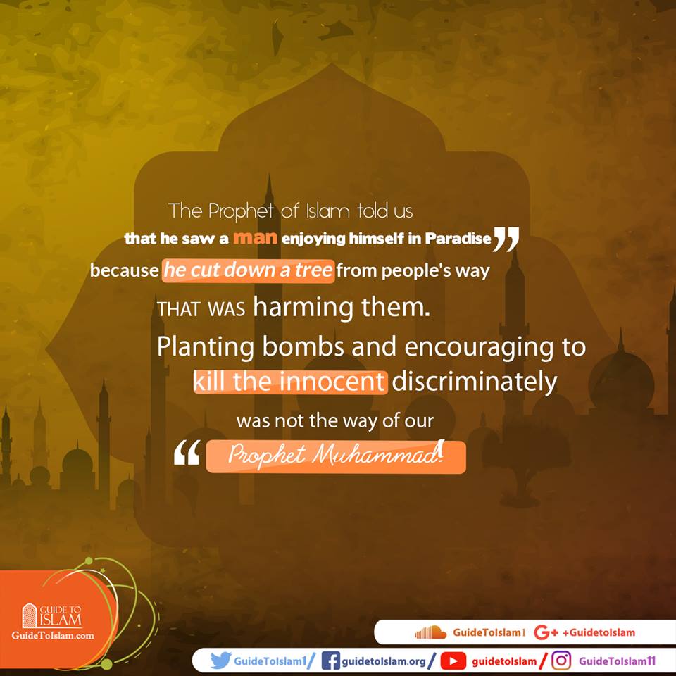 The Prophet of Islam 