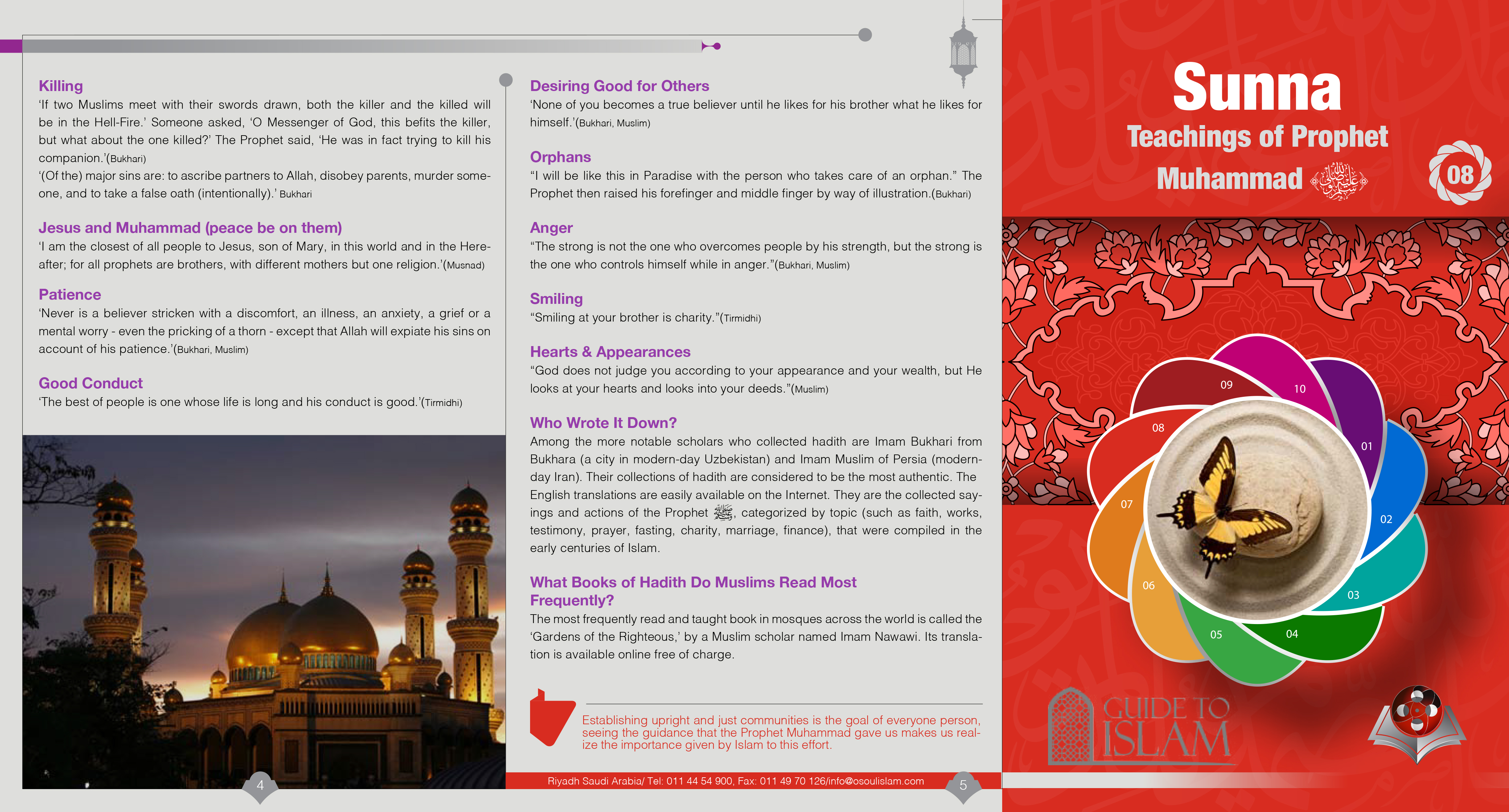 السنة: تعاليم الرسول صلى الله عليه وآله وسلم