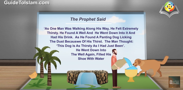 الرفق بالحيوان في الإسلام