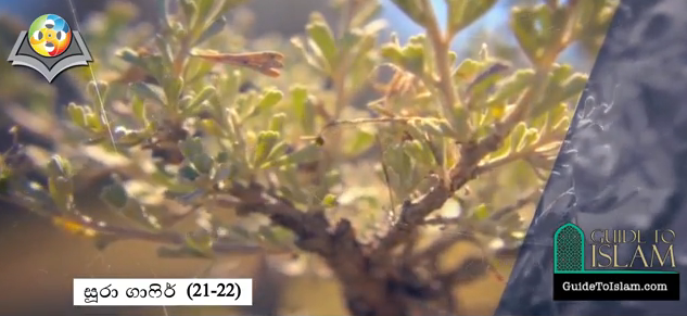 سورة غافر (21-22) - باللغة السنهالية