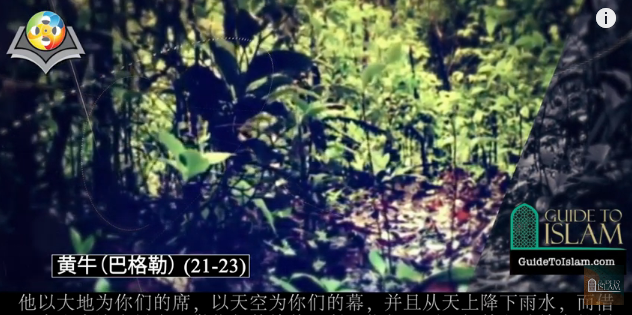 سورة البقرة (21-23) باللغة الصينية