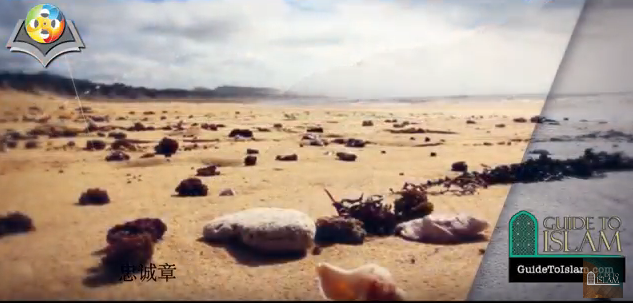 سورة الإخلاص  باللغة الصينية